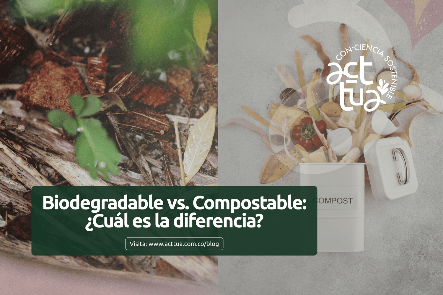 Biodegradable vs. Compostable: ¿Cuál es la diferencia y por qué importa para tu negocio?