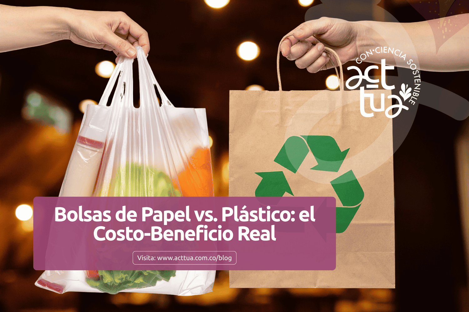 Bolsas de Papel vs. Plástico: el Costo-Beneficio Real