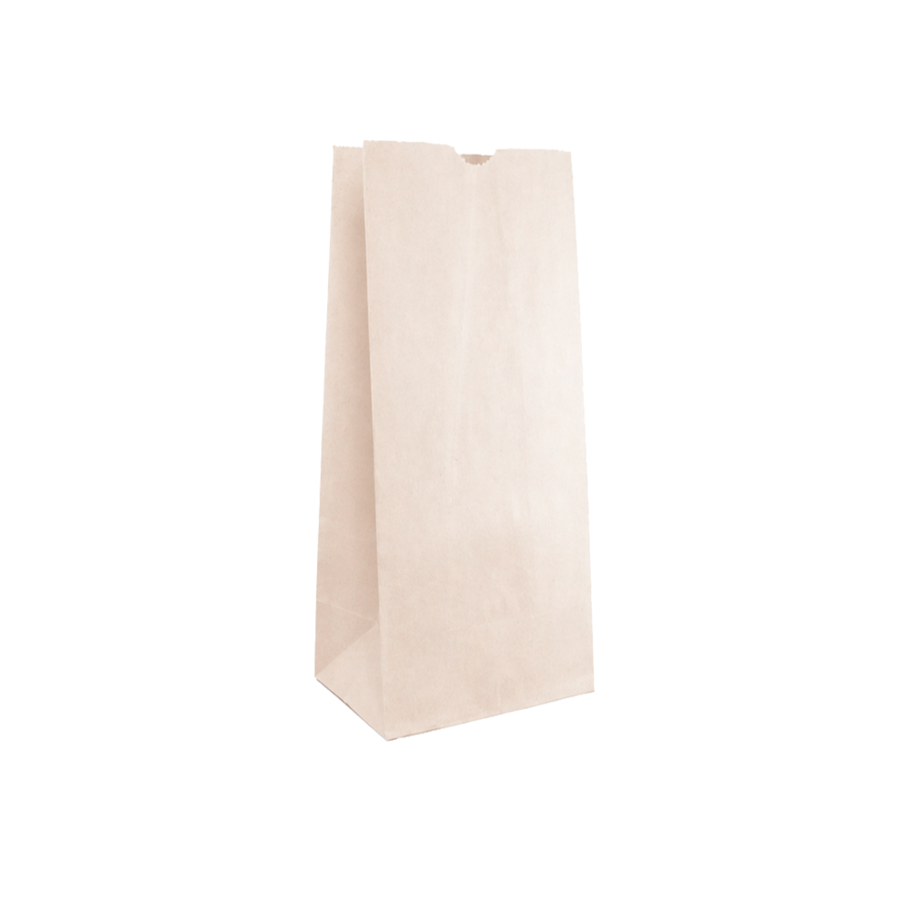 Bolsa ecológica de papel Earth Pact sin manija | 12 Lb - 50 gr