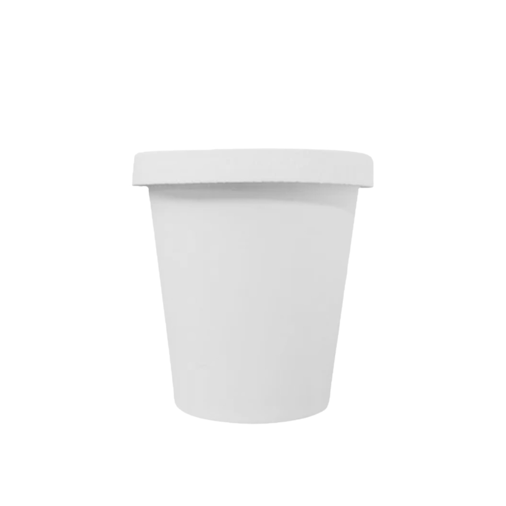 Vaso con tapa plana de cartón | 12 oz - 354 ml