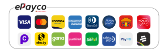 Paga en línea 100% seguros